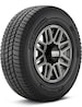 Michelin Agilis CrossClimate