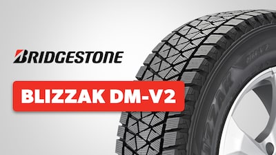 Bridgestone Blizzak DM-V2