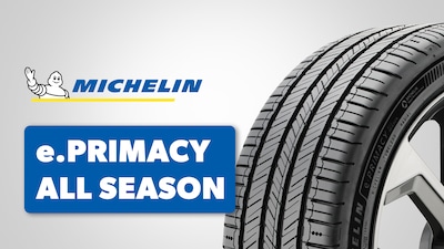 Micheline.Primacy All Season